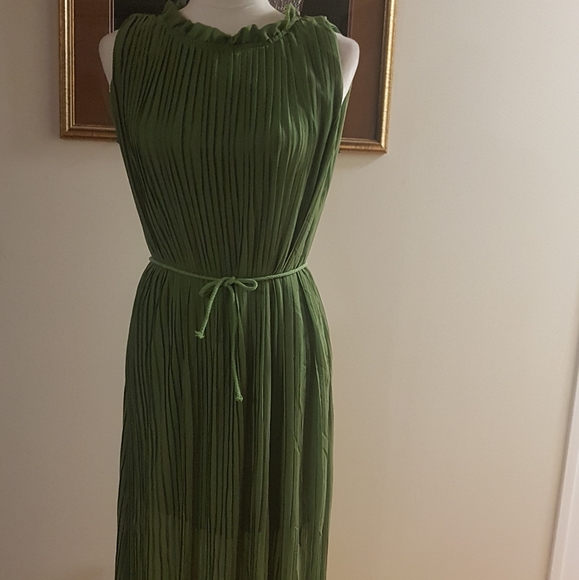 Pleated Maxi dress. - Picture 1 of 3